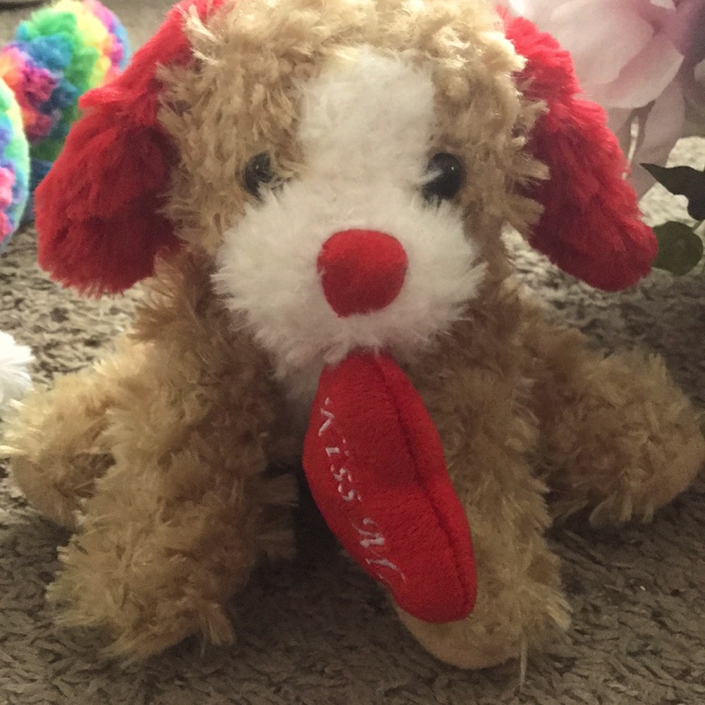 Valentine’s Day puppy